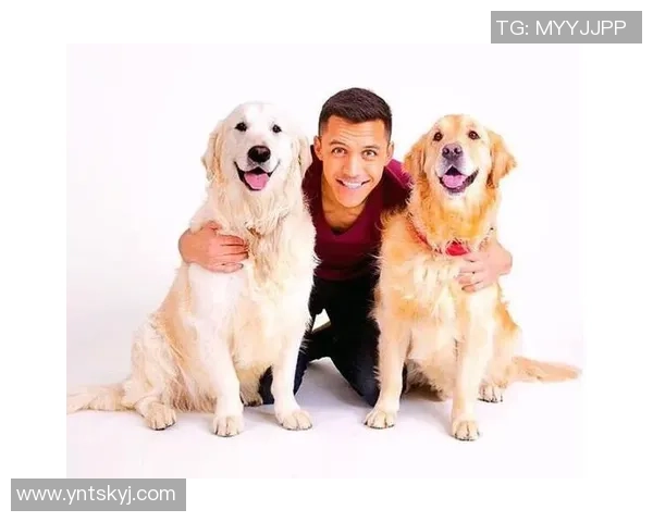 足球球星排座次搞笑大比拼谁能笑到最后谁才是真正的球场王者