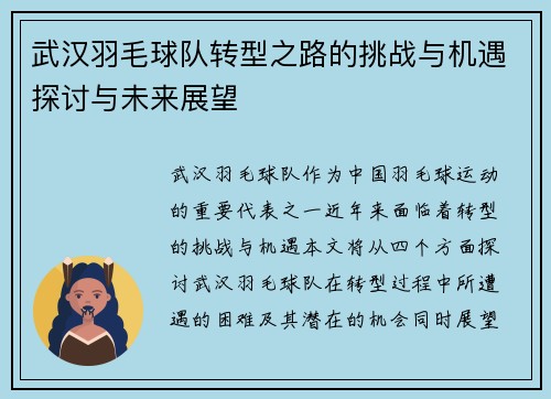 武汉羽毛球队转型之路的挑战与机遇探讨与未来展望