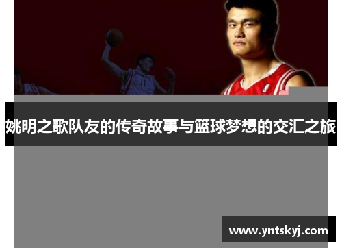 姚明之歌队友的传奇故事与篮球梦想的交汇之旅